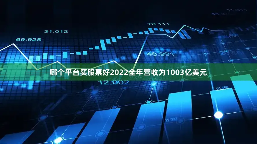 哪个平台买股票好2022全年营收为1003亿美元