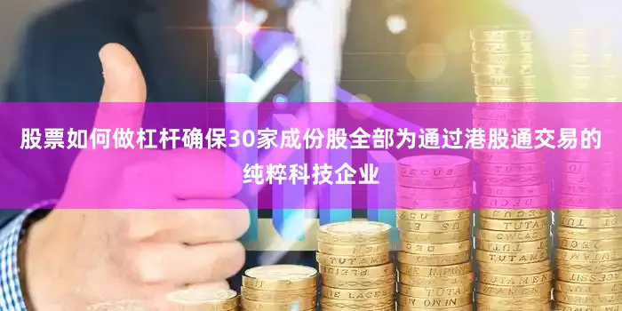 股票如何做杠杆确保30家成份股全部为通过港股通交易的纯粹科技企业