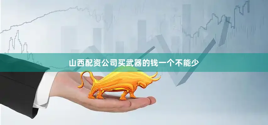 山西配资公司买武器的钱一个不能少