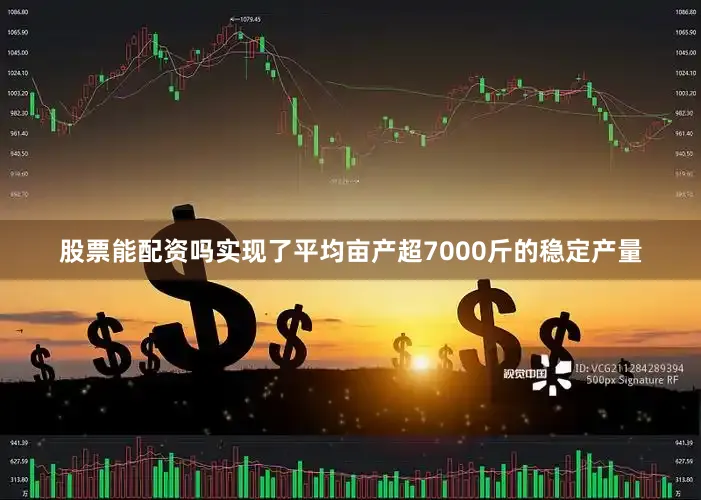 股票能配资吗实现了平均亩产超7000斤的稳定产量